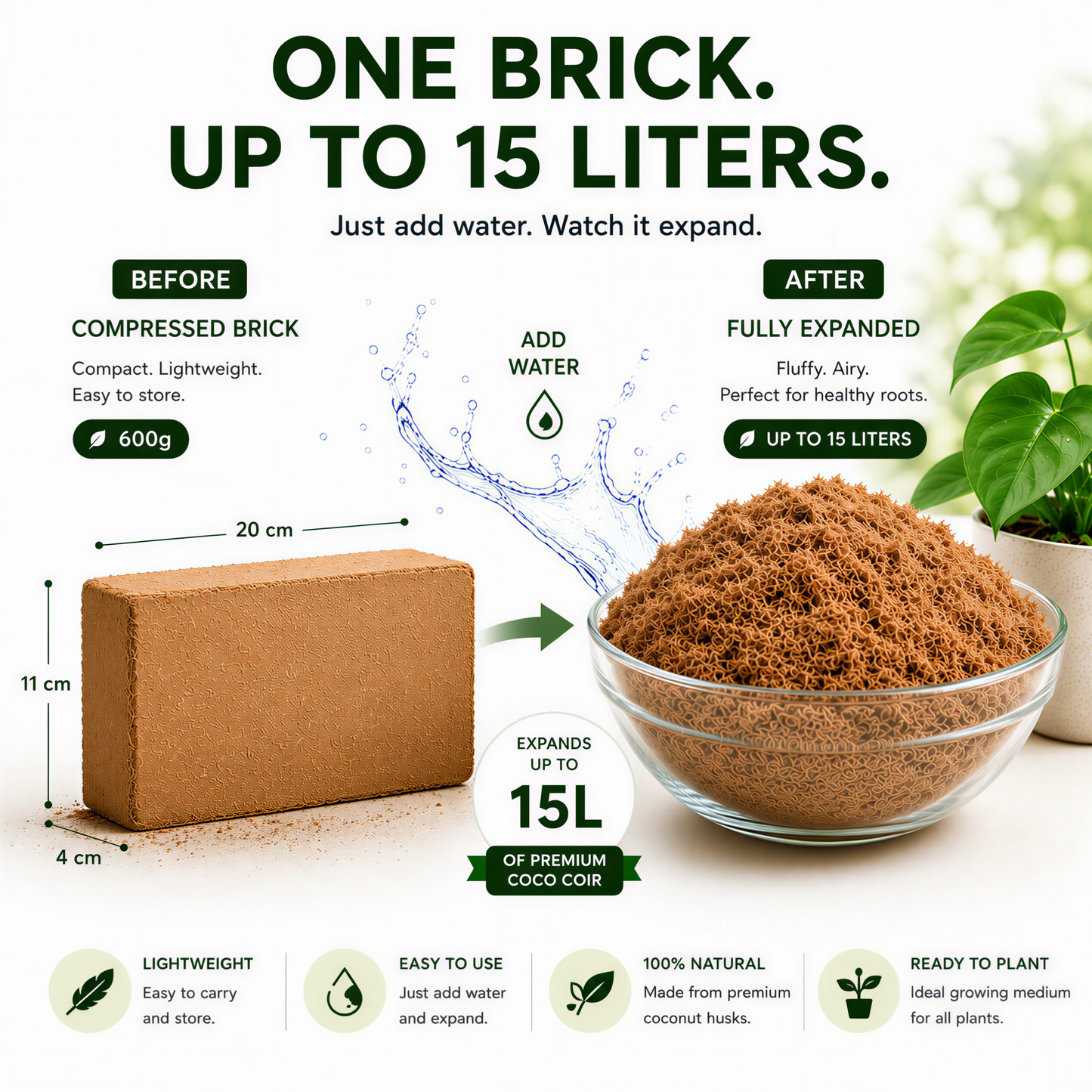 Stop Killing Your Plants With Bad Soil.