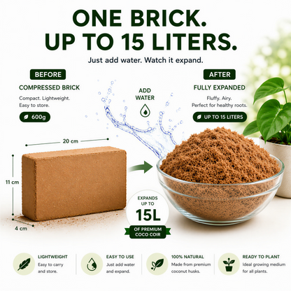 Stop Killing Your Plants With Bad Soil.